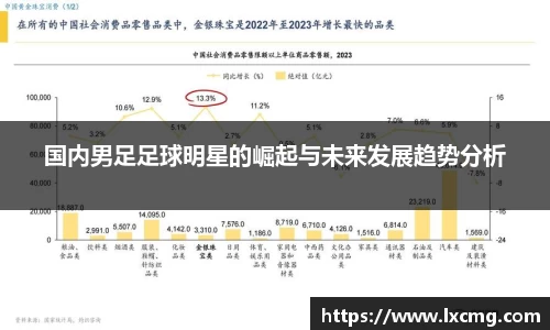 国内男足足球明星的崛起与未来发展趋势分析